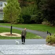 Where Was Netflix's The Beast in Me Filmed? UK Guide