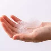 White Feathers: An Expert's Guide to Their Spiritual Meaning