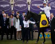 Willie Mullins Targets Historic Melbourne Cup & Breeders' Cup Double in Global Racing Domination