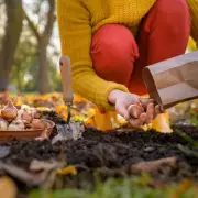 Winter Bulb Planting Guide: It's Not Too Late for Spring Blooms