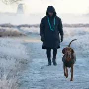 Winter Dog Walk Warning: The One Thing Owners Must Do After Every Walk