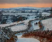 Winter UK Escapes: 10 Magical Rural Breaks from Guardian Readers
