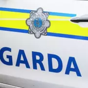 Woman Critically Injured in Suspected Petrol Arson Attack at Home