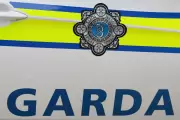 Woman Dies, Man Injured in Cork Assault: Man in 20s Arrested