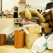 Woman's £9,000 Tiffany Lamp Discovery at an Estate Sale