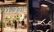 Woolworths Shoppers Stunned by Mysterious Sound Coming From Supermarket Freezers