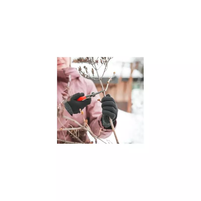 3 Key Plants to Prune in December for a Healthier Spring Garden