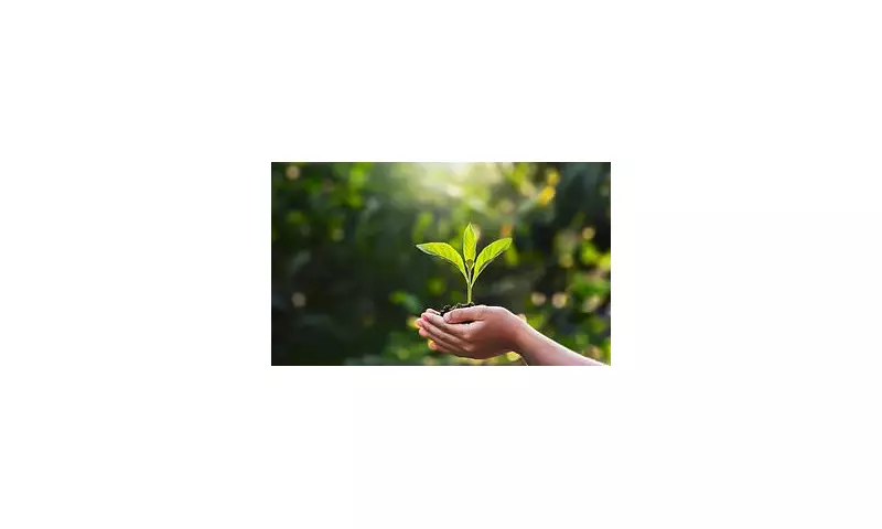 67% of UK Travel Agents' 'Green' Ads Break Rules, Watchdog Finds