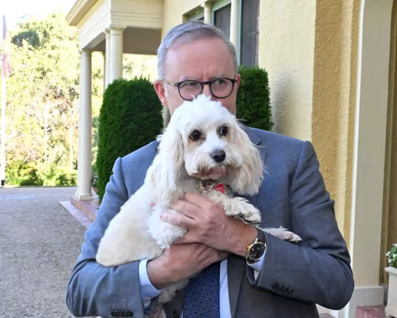 Albanese's Summer Reading List: 6 Books for the PM's Break