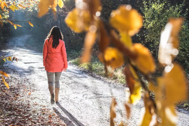 Angiolini Inquiry Exposes 'Critical Failure' in Tracking Stranger Rape Data