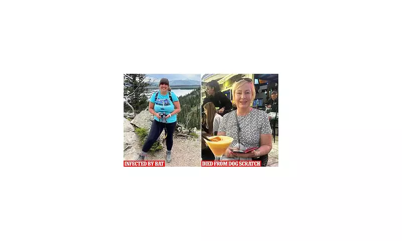 CDC Issues Rabies Travel Warnings for Haiti and India After US Cases