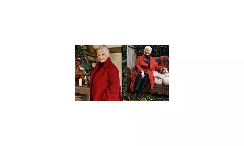 Dame Judi Dench, 90, fears 'losing the plot' amid eyesight and memory loss