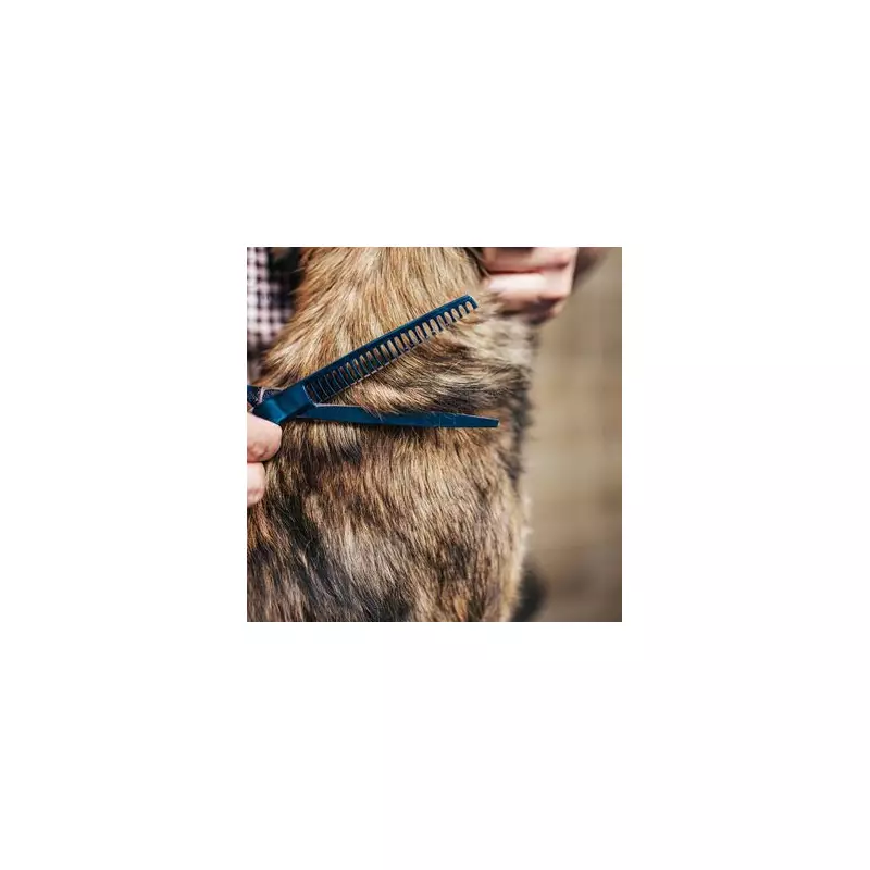 Dog Owner Stunned by £150 Grooming Bill for Patchy 'Llama' Haircut