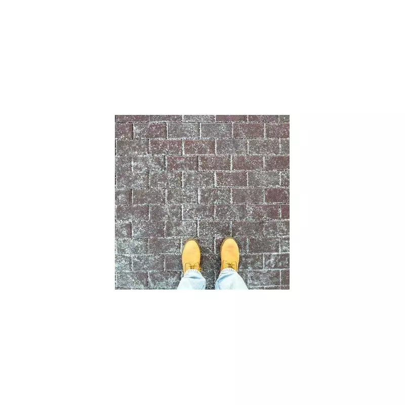 Driveway Expert's £1.50 Hack Melts Ice in Minutes, Beats Salt