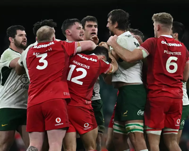 Eben Etzebeth banned for 12 matches after eye-gouging incident against Wales