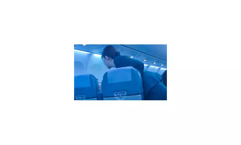 Four-hour 'flight to nowhere' after passenger's seat-swap row forces emergency U-turn