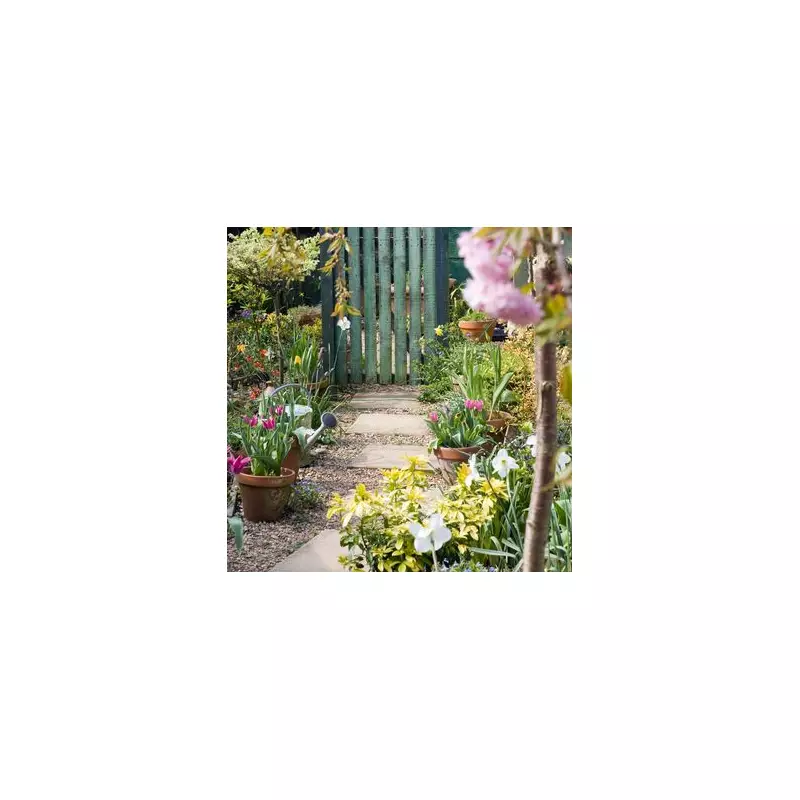 Garden expert Bex Edwards reveals 'most outstanding plant' to transform your space