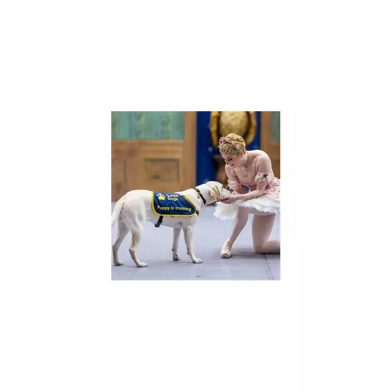 Guide Dog Puppies Experience The Nutcracker Magic in Royal Ballet Touch Tour