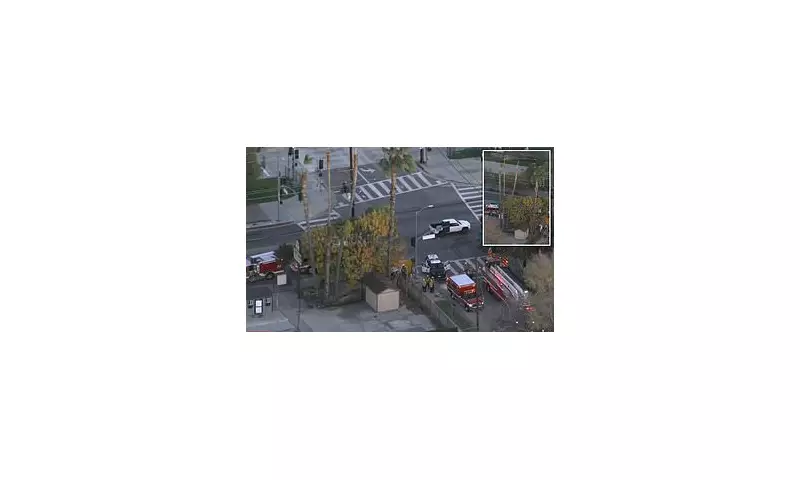 LA Tree Trimmer, 48, Dies After 35-Foot Fall Onto Iron Fence