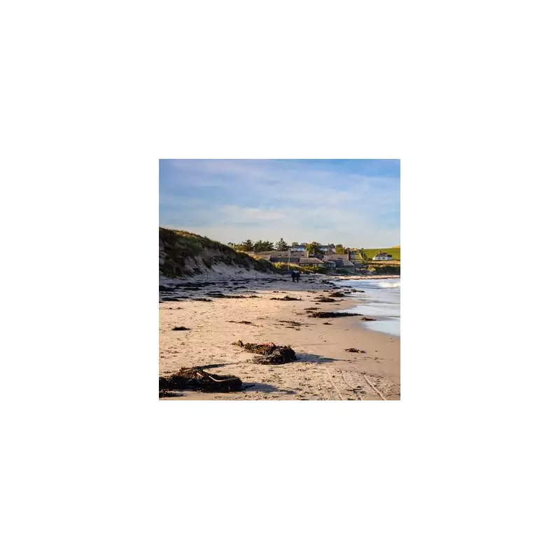 Low Newton: Northumberland's 'Picture Perfect' Seaside Village with Quiet Beach