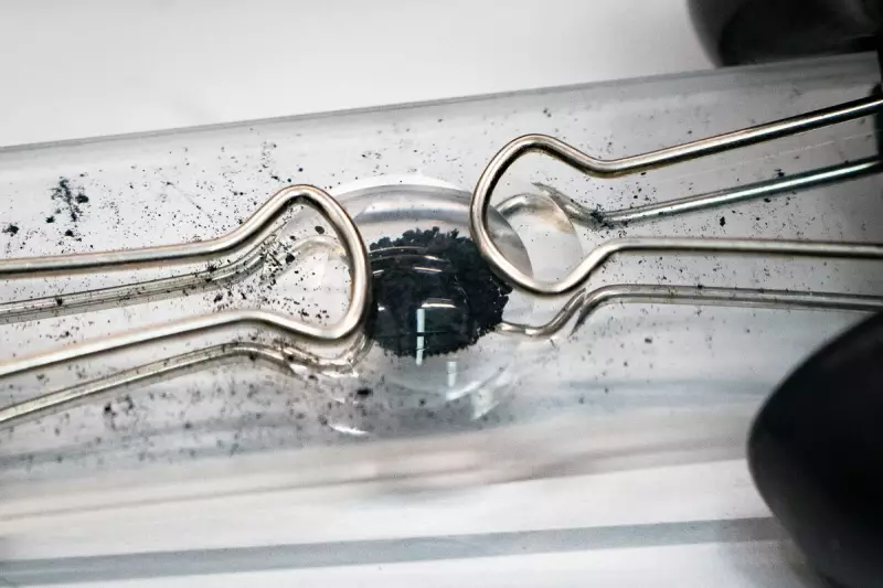 NASA Discovers Life's Essential Sugars on 4.6bn-Year-Old Asteroid Bennu