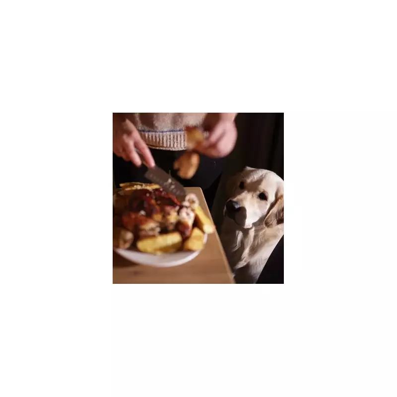 Pet expert warns of 5 dangerous Christmas foods for dogs