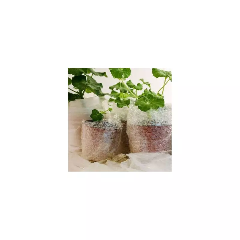 Protect Plants from Frost with 99p Bubble Wrap, Expert Reveals