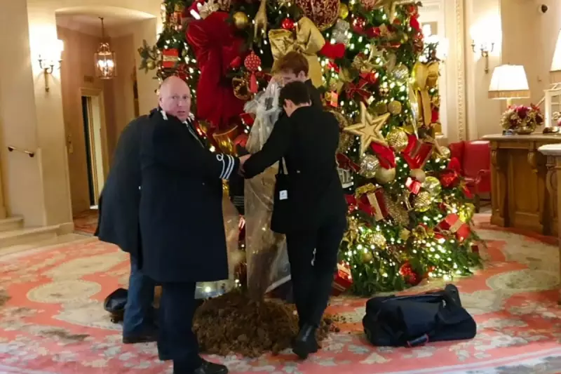 Protesters Dump Horse Manure at Ritz Hotel Christmas Tree in Wealth Inequality Demo