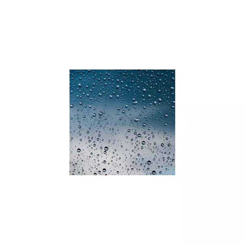 Royal Weather Secrets: The Group Hired for William and Harry's Weddings