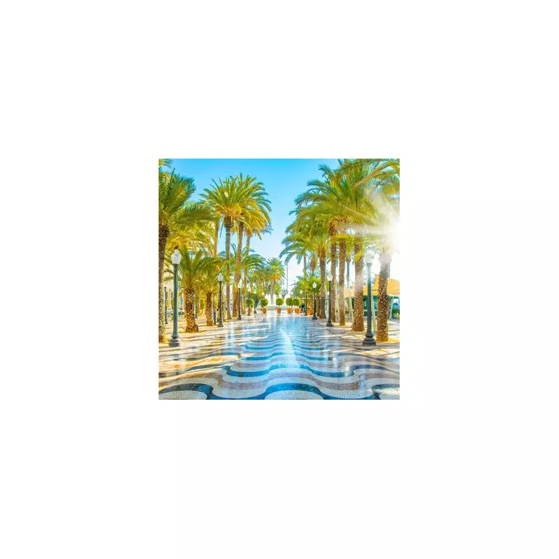 Ryanair launches £20 winter sun flights from Cardiff & Aberdeen to sunny Alicante