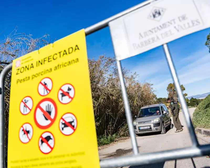 Spanish ASF Outbreak: Lab Leak Probe as Virus Strain Matches Georgia 2007