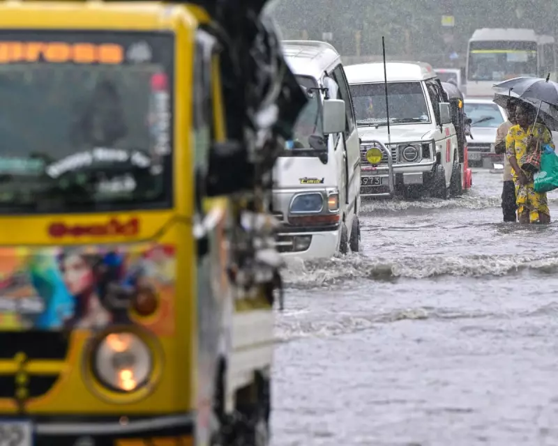 Sri Lanka's Cyclone Ditwah: Survivors Recount 'We Were All Very Scared'