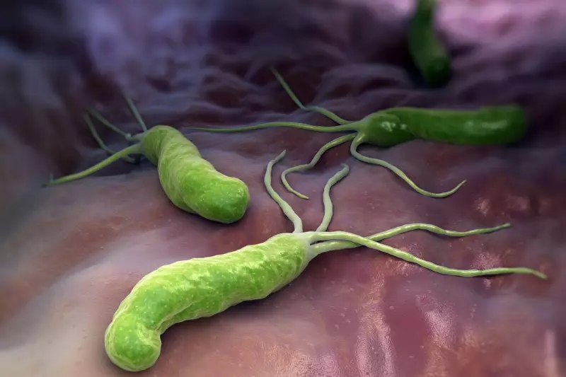 Stomach Ulcer Bacterium Holds Key to Blocking Alzheimer's Proteins, Study Reveals