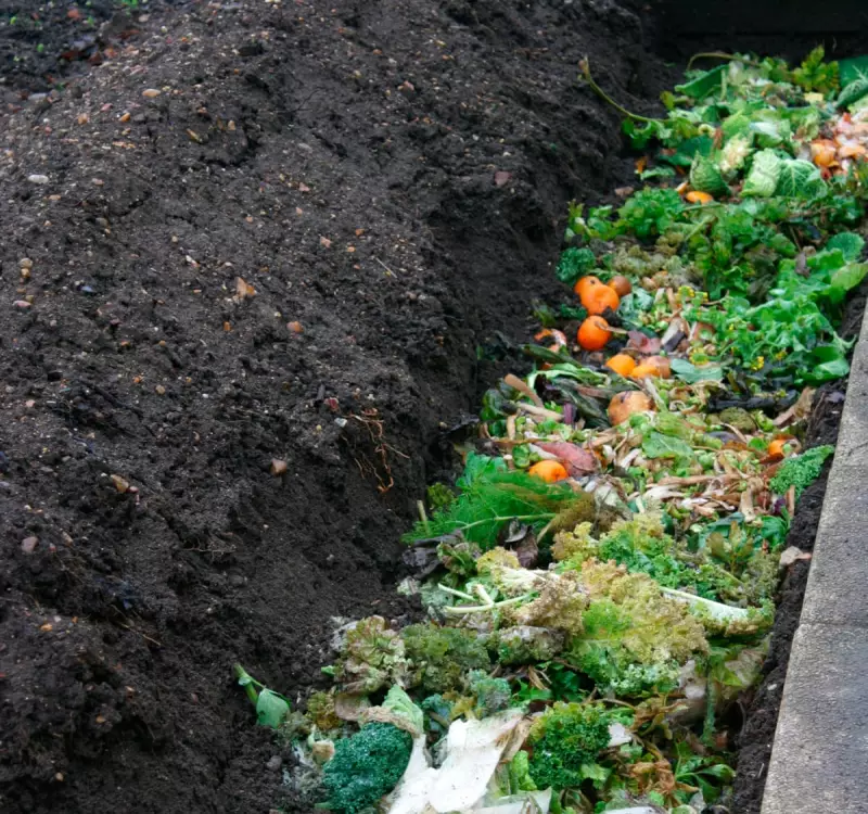 Trench Composting: The Ancient, No-Effort Method to Supercharge Your Garden