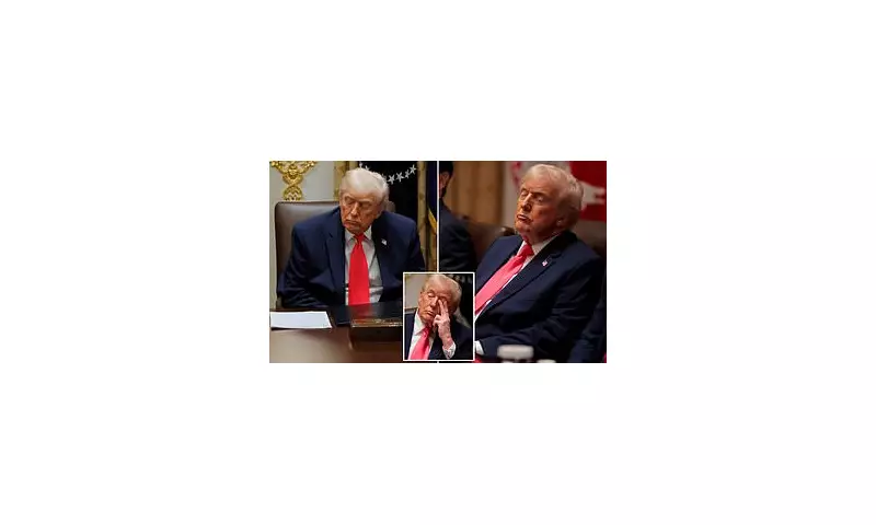 Trump Nods Off in Cabinet Meeting, Prompting 'Dozy Don' Social Media Jibes