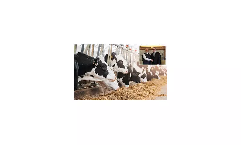 UK Dairy 'Sacrificed' in India Trade Deal, Warns NFU President