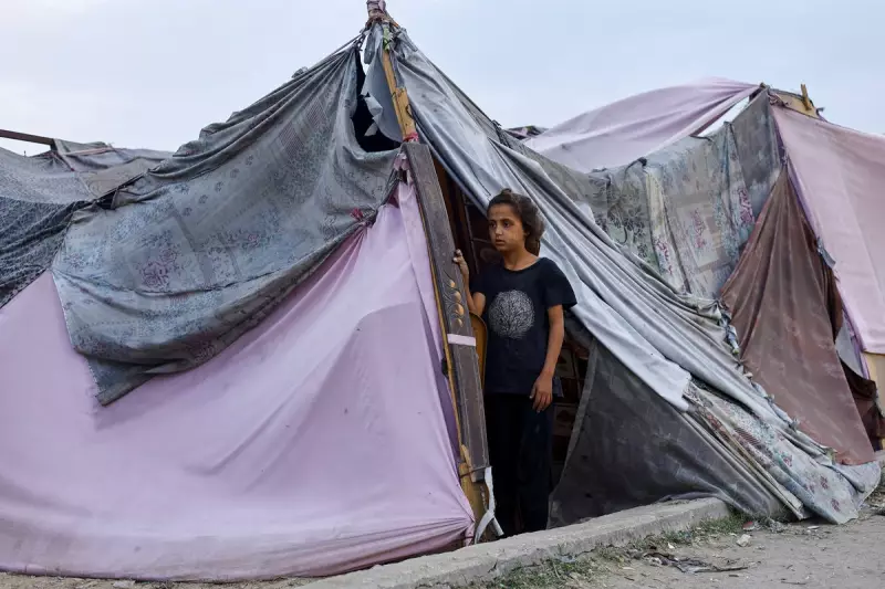 UK-Funded Tents Finally Reach Gaza After Months of Delay, Shelter 12,000