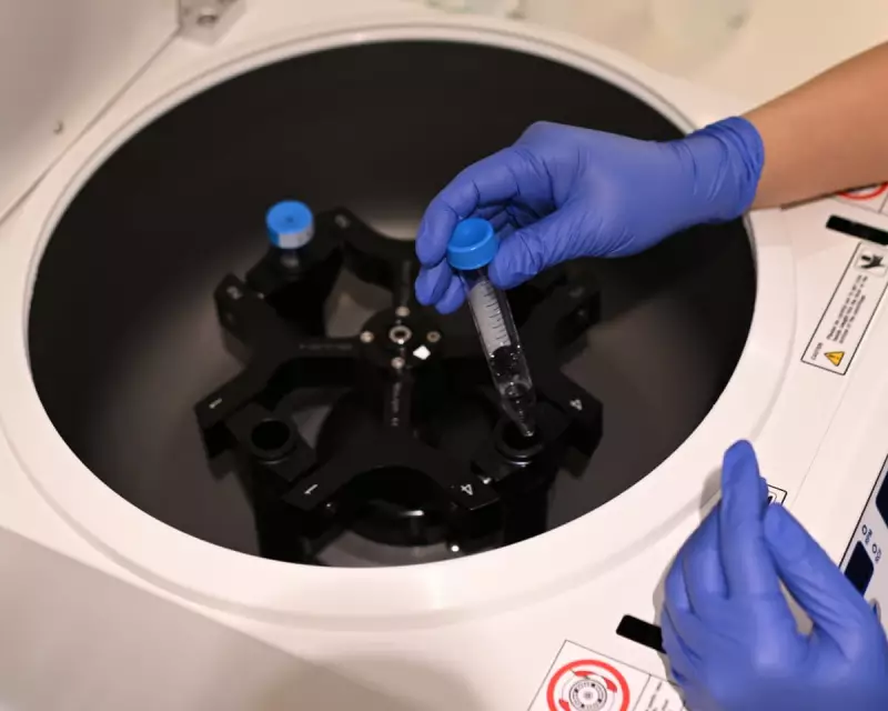 UK IVF couples exploit legal loophole for embryo IQ and health screening