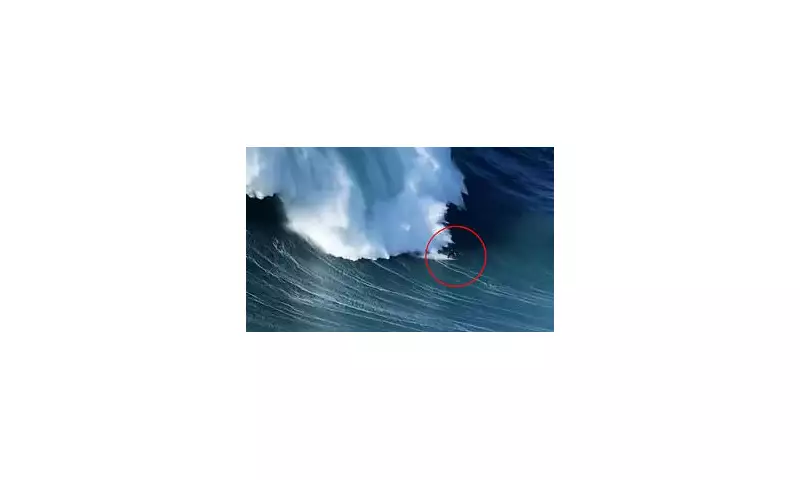 Veteran Surfer Carlos Burle, 58, Engulfed by Giant Nazaré Wave