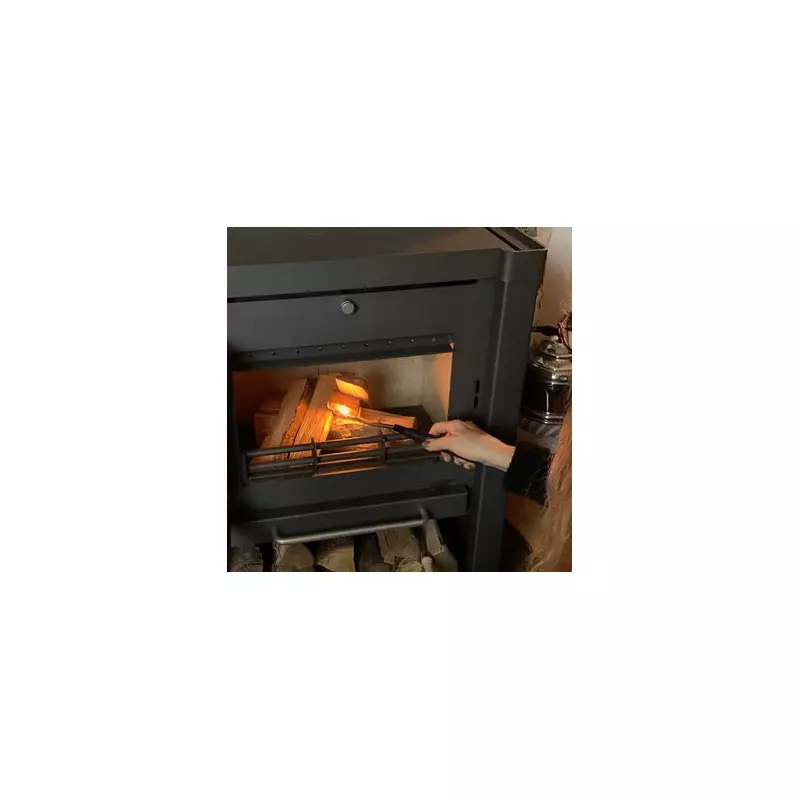 Wood Burner Rules Tighten: Government Targets Smoke Emissions in New Environment Plan