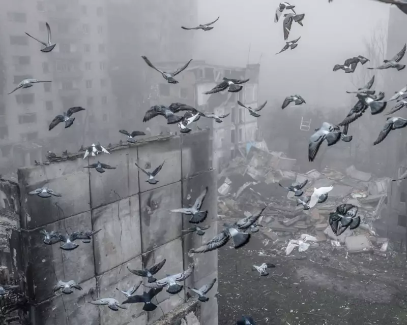 Zelenskyy Meets Macron in Paris Amid Intense Diplomacy to End Ukraine War