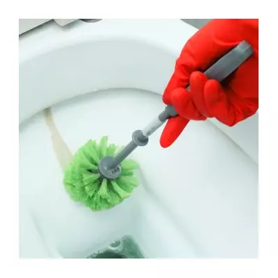 3 Experts Reveal the Overnight Natural Toilet Limescale Remedy