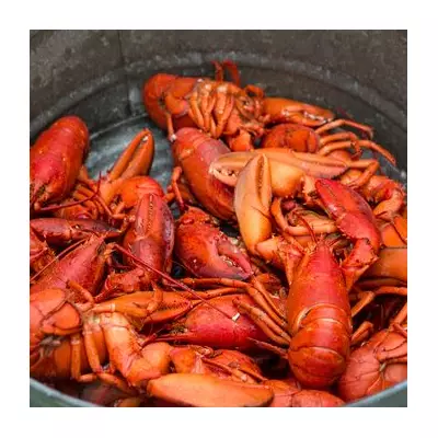 £400k Lobster Heist Sparks Alarm as US Seafood Thefts Surge