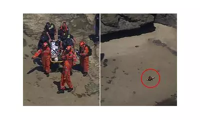 Austrian tourist's 6m fall at Elephant Rock sparks major Victoria rescue