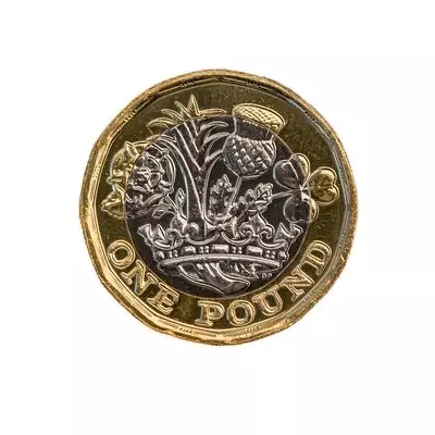 Bee £1 Coin: From 'Super Rare' to Face Value - Collector's Warning