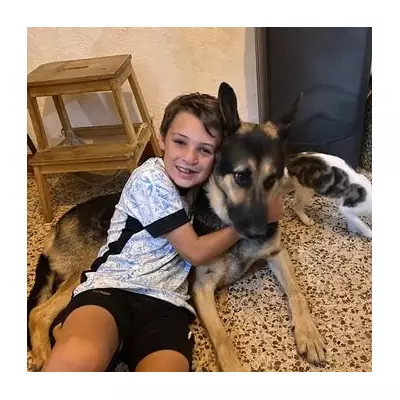 British boy, 13, stabbed to death in Portugal as ex-convict ex-partner triggers gas blast