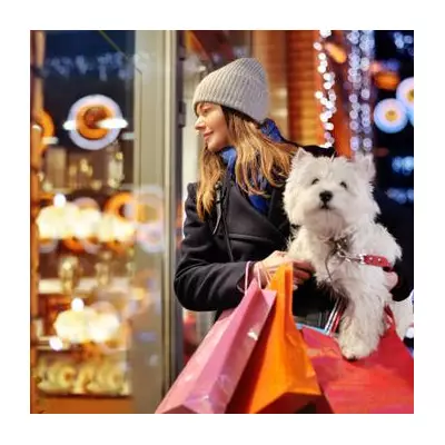 Budget Dog Toys Under £15: Aldi, Asda, Tesco & Sainsbury's Christmas Gifts