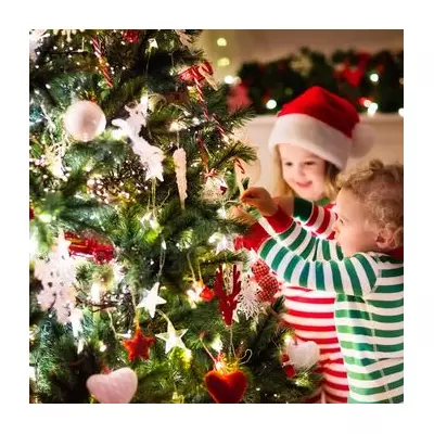 Christmas Tree Warning: Unusual Pine Cone Lumps Could Be Mantis Egg Sacs