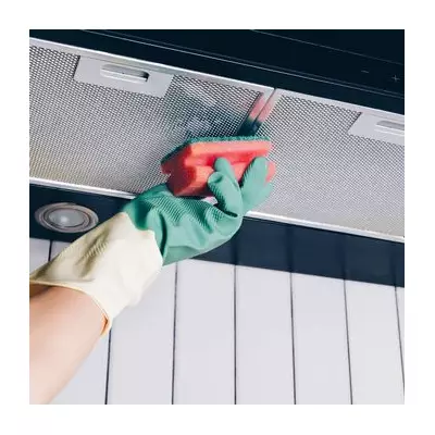 Clean Extractor Fan Filters in 15 Minutes with One Natural Item