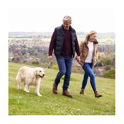 Dog's 'Check-In' Glance on Walks is a Sign of Perfect Training
